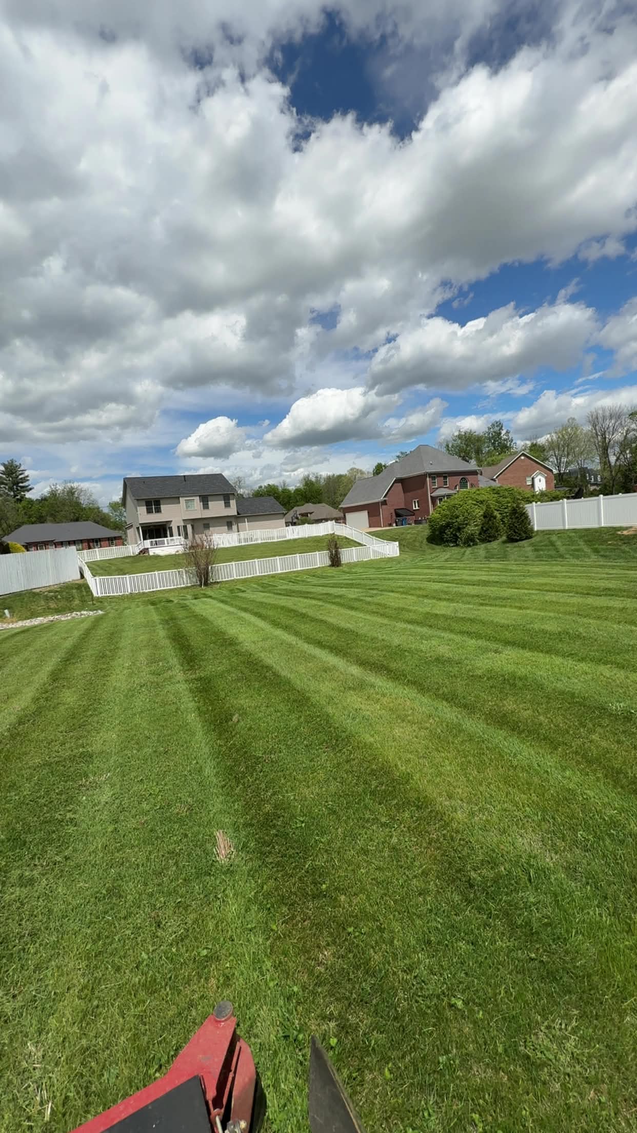 Beautiful striped lawn