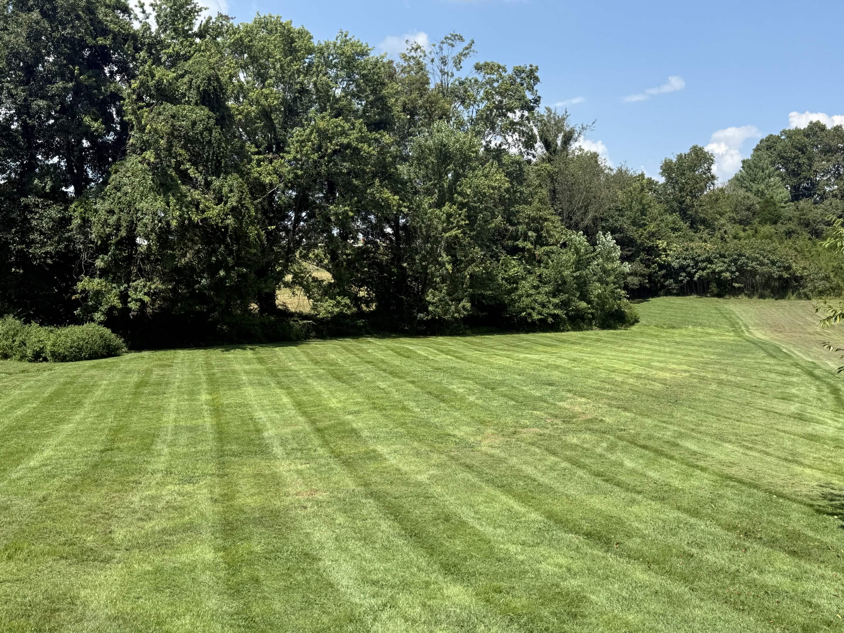 Lee's Lawn Care — Residential Mowing